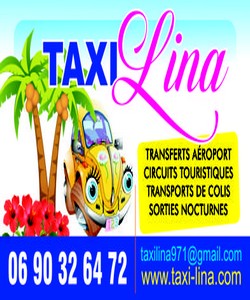 Petites annonces Guadeloupe Taxi Guadeloupe